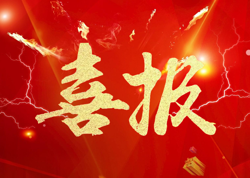 金年汇显示再获行业殊荣